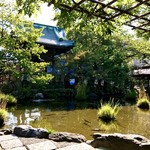 伊勢末商店 - 西新井大師で家族の健康祈願後、池の畔で暫し寛ぐ、気持ちのいい昼下がり