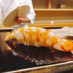 日本橋蛎殻町 すぎた - 2017.8.  車海老