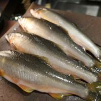 たでの葉 - 鮎