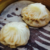潮夢来 - 