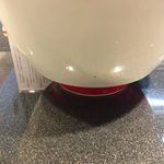 Japanese Soba Noodles 蔦 - 