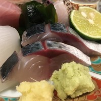 鯖とか烏賊とか真とか - 