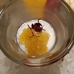 ホテルグランバッハ熱海クレッシェンド - トビコ・サワークリーム