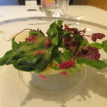 ウシマル - 自家菜園と地元の農家の野菜を使ったサラダ