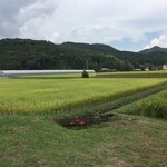 手打ち麺処 ごんべえ - 店の裏には田んぼと山並み