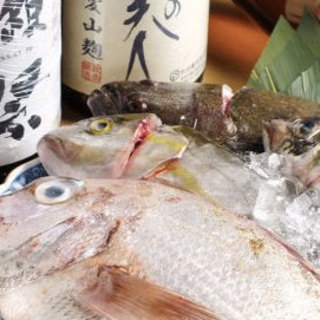 産地直送！こだわりの＜鮮魚＞