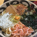 Sakai An - 駿河湾うどん 840円