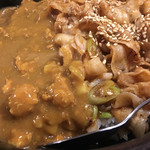 丼達 - 丼逹カレー（アップ）