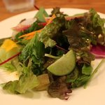 Trattoria Pizzeria Pireus - 有機野菜のサラダ