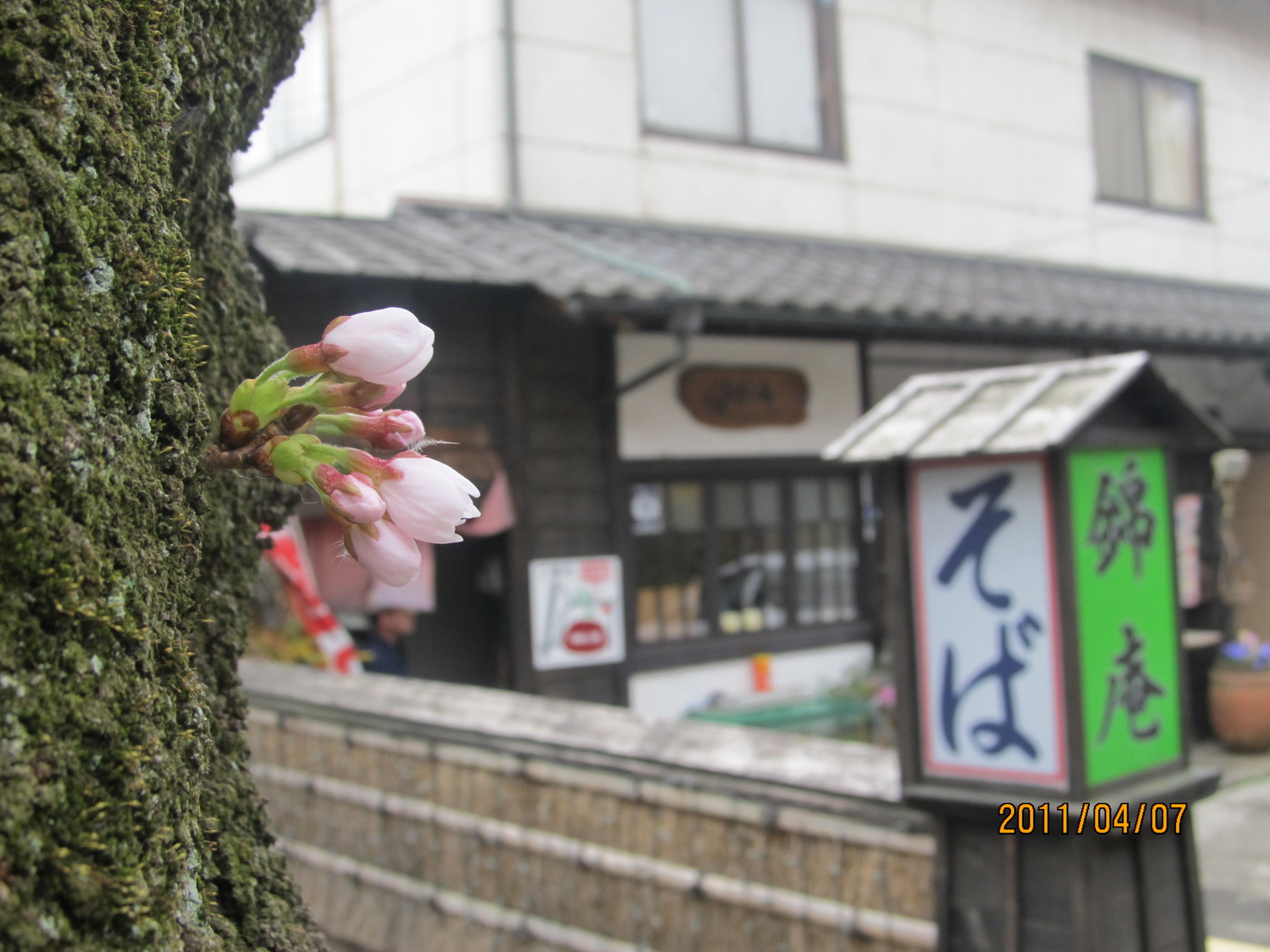 純手打蕎麦処 錦庵 name=