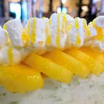 オークウッド - マンゴーとライムのムースアイスクリーム