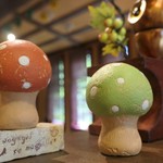 オークウッド - きのこ