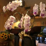 オークウッド - お花