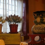 オークウッド - かえるパイセン