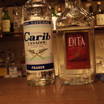 SHOTBAR Q's CASUAL - 