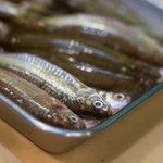 うを徳 - 琵琶湖（びはこ）本諸魚（ほんもろこ）