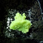 イベリコ屋 - わさび