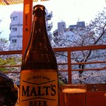 Hashidaya - ビールと桜