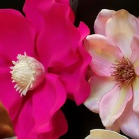 リュクス ダイニング ハプナ - 