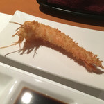 ステラ - 天使の海老☆