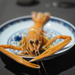 茶禅華 - アカザエビ紹興酒漬け