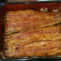 入谷鬼子母神門前のだや - 