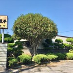 Taihei - この植木の手入れが大変だと大女将が仰ってました！