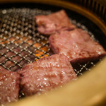 SATOブリアン - タン元