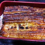 鰻料理専門店 曳馬野 - うな重(2310円)