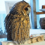 パクチーバル 8889 - ウサギフクロウ