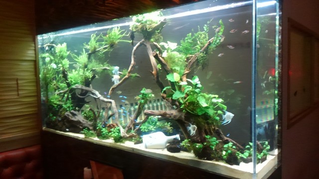 The Photo Of Others Aquarium Cafe Affinity Tabelog