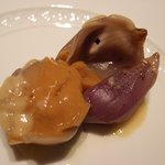 フォリオリーナ・デッラ・ポルタ・フォルトゥーナ - ババロア