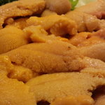 札幌市場めし　まるさん亭 - 絶品　ウニ丼のアップ　【　２０１１年４月　】2