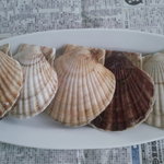 札幌市場めし　まるさん亭 - 貝付きホタテ　【　２０１１年４月　】11　　