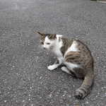 すし処 みや古分店 - 