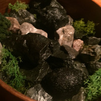 YAKINIKU 37west NY - 