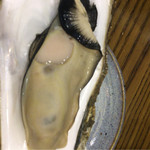郡八 - 大粒プリプリの牡蠣