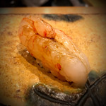 鮨割烹 汐 - 牡丹海老