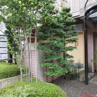 木山 - 