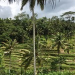 ALON ALON Terrace Cafe - 