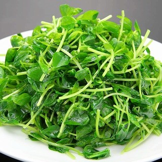 野菜たっぷりのヘルシー料理！