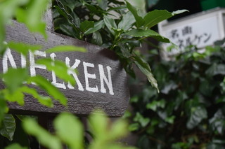 NELKEN - 