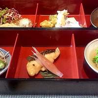 天空の庭　星のなる木 - 