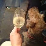 ワイン食堂 イナセヤ キッチン - 