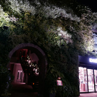 TOKYO Whisky Library - 