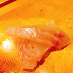 Tatsumi Zushi - 