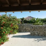 庭の眺め＠2017/9