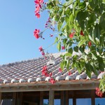 ハイビスカスとシーサー＠2017/9