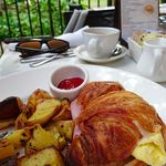 Il Lupino Trattoria & Wine Bar - 