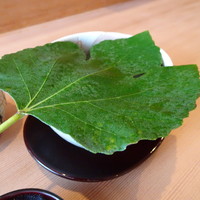 お料理 とみやま - イチジクの葉をよけると・・・